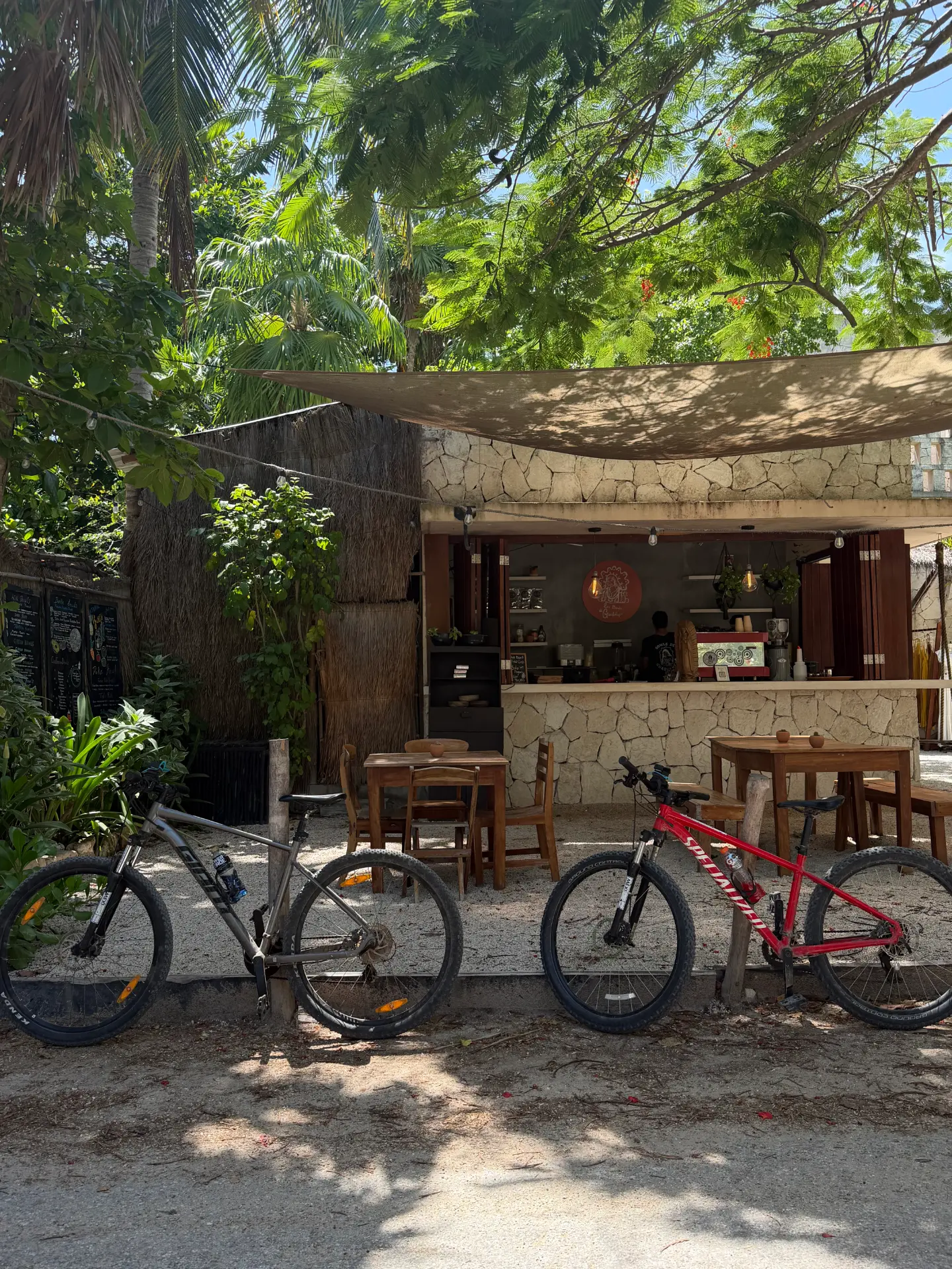 Jungle trips + coffees · Tulum