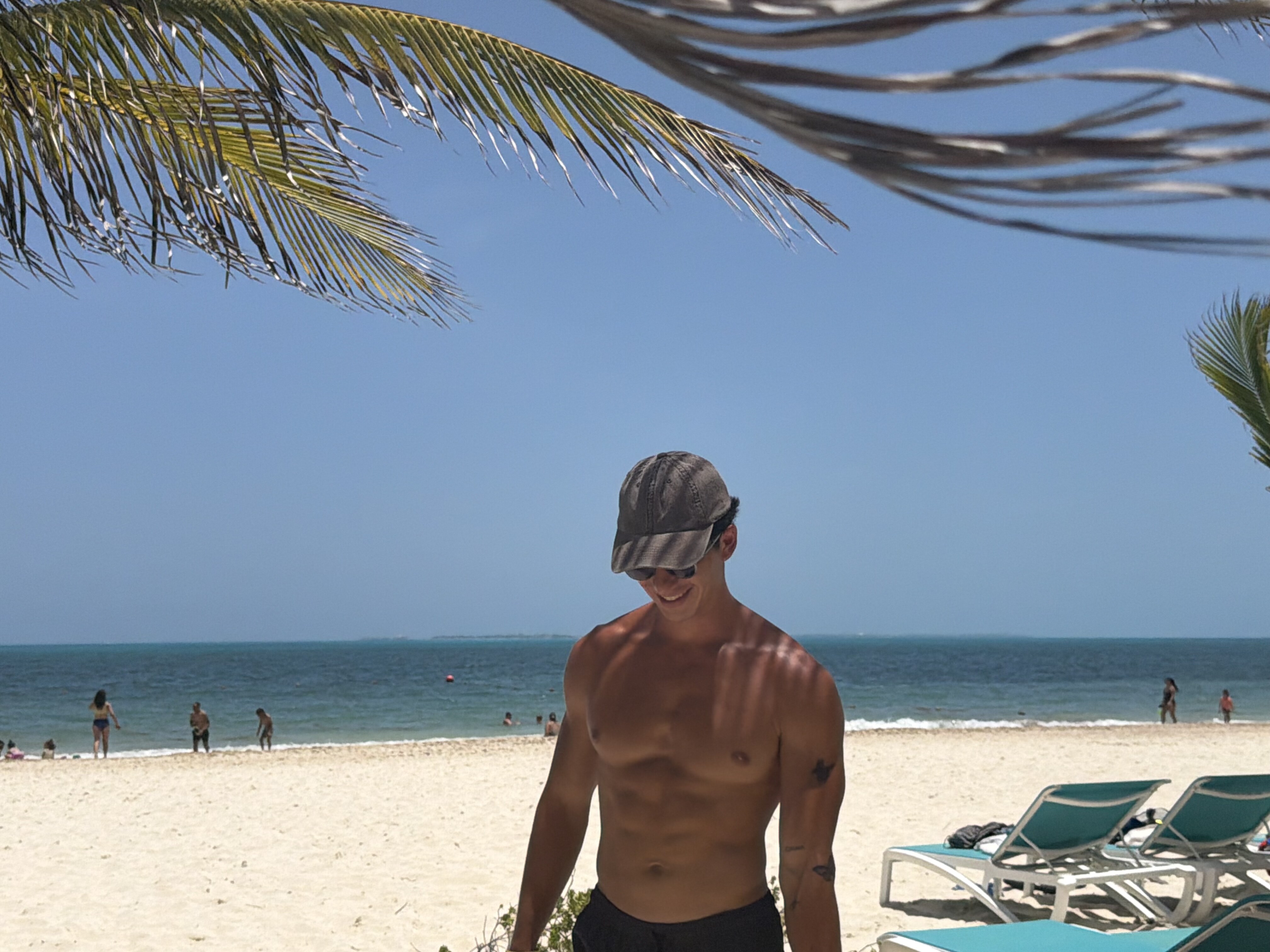 Playa del Caribe con palmeras, mar turquesa y sol pleno